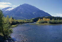 Landscape near Crowsnest Pass with river flanked by trees in fall colours and snow topped mountains beyond.