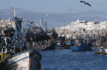 Seagulls circling above fishing boats beside quay in fortified harbour.