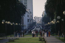 City centre and Avenue Mohammed V lined by trees and street lights. Center
