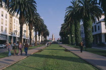 City centre and Avenue Mohammed V lined by trees and leading towards mosque. Center