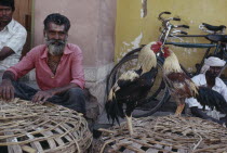 Man selling cockerels on side street.