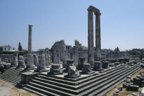 Ruins of the uncompleted Temple of Apollo.