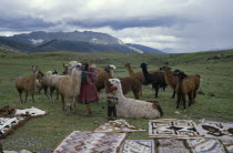 Woman and children with llamas and Indian textiles spread out on grass in foreground.Cuzco