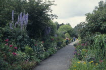 Pathway leading along herbaceous borders of gardensEire Republic