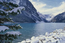Lake Louise and steep pine covered mountainside in snow.