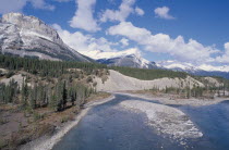 Saskatchewan river with pine trees on shore and mountain backdrop