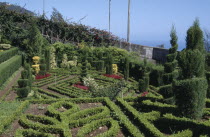The Jardim Botanico botanical gardens near Funchal