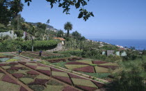 Jardim Botanico botanical gardens near Funchal