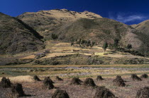 View from the train on the altiplano at La Raya.  Agricultural land in the foreground  mountains beyond.