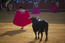 Matador standing in front of a bull with his cape raised in the Arenal bullring