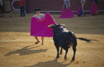 El Arenal District. Matadors asssistant in Bullring with Bull
