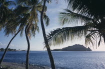 Shoreline and bay with palm trees in foreground.