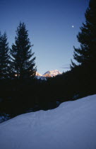 View from snow covered hillside through trees to sunlit mountain peak at dusk