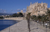 Palma. View along the tree lined promenade toward La Seo Cathedral  with Almudaina Palace visible in the background  Mallorca
