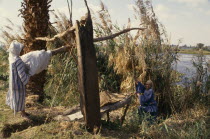 Man and boy working a Shaduf to irrigate a field