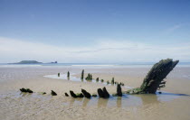 Helvetia 1890 s shipwreak oak carcass on sandy beach at low tide with Worms Head seen from across the sea in the distance