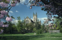 St Marys Church seen from college garden framed by cherry blossom tree branches