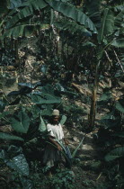 Don Carlos a respected Ika or Bintukua elder on his  finca  farm in lowland valley of La Caja where sub-tropical heat ensures crops of coffee  bananas  plantains and  aracacha  the root crop he stands...