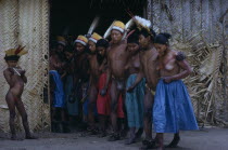 Men and women emerge from maloca dancing the Manioc Dance  adorned with precious feather head-dresses  some with bark-cloth aprons; women wearing new tradecloth skirts. Young boy with feather crown ex...