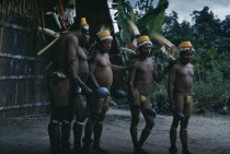 Men perform the Maraca Dance outside  maloca  wearing feather head-dresses  bead nut amulets  festive facial and body paint woven fibre garters  nut ankle rattles  monkey tooth belts  green sweet-smel...