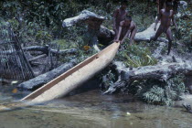 Boys bring a newly hewn and shaped canoe out of the forest for burning process by the river.Indigenous Tribes  rio Piraparana North West Amazonia Amazon American Colombian South America Vuapes Columb...