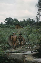 Headman with yucca flour basket  his brother with fishing rods  walk through yucca and banana cultivation patch with  maloca  / longhouse in backgroundIndigenous Tribes Rio Piraparana  North West Ama...