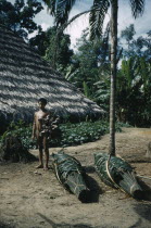 Man carrying dried  yarumo  leaves for coca process. Bundles of fresh palm leaves in foreground for re-thatching  maloca  / longhouse roof.  Indigenous Tribes Rio Piraparana  North West Amazonia Amaz...