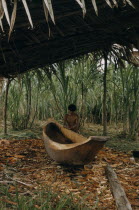 Man makes a new canoe from a single tree trunk brought down from forest to riverside shelter  thatched against sun and tropical downpoursThe Noanama are a minority group of approximately 3000 Indians...