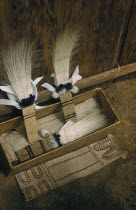 Sacred box of ceremonial feather head-dresses  ritual adornments  hung from  maloca  longhouse roof and brought down only for festivals /dances. Royal crane tail feather headdress  dyed bark-cloth apr...