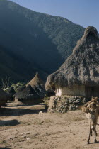 San Miguel  a Kogi village in foothills of  Sierra Nevada. Sacred pots at apex of conical thatched roofs.Indigenous TribesCaribbean coast of Colombia. American Colombian South America West Indies Co...