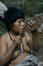 Woman applying red  ochote  facial paint extracted from ground ochote seeds  using a trade mirror and wearing traded plastic beadsIndigenous Tribes American Colombian South America Columbia Hispanic...