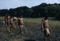 Cuiva: First Contact  a family move away from their camp on rio Agua Clara  in fear of white Colombian cattle ranchers who may shoot them. They flee over recently burnt grasslands with all their world...