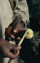 Detail of a Kogi man holding his poporo/gourd of fine lime powder made from burnt seashells collected along Caribbean coast. The palito/stick transfers lime powder from gourd to mouth and wad of coca...