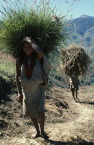 Mama Valencias daughter and young son bring freshly cut bundles of hay along track to San Antonio to re-thatch their family home. Lower slopes of Sierra Nevada behind  denuded by past over-grazing. Ko...