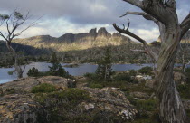 Lake Elysia and Mount Geryon in The Labyrinth in Cradle Mountain Lake St Clair National Park