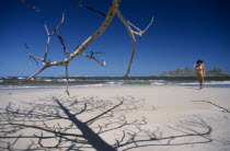 The leafless branches of a tree casting skeletal shadows on the sand of a beach with a woman wearing a hat standing nearby and mountains seen from across the ocean in the distance