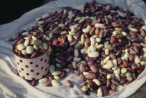 Beans for sale in the market.