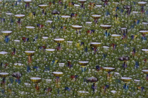 Detail of local artwork depicting field workers