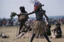 Bapende tribe masked dancers at Gungu festival. Zaire