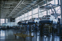 Cars raised off the ground with staff working underneath in a production factory.