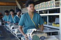 Line of female packers at Joubertsdaal Export tablegrape farm.
