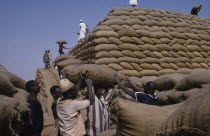 Workers building pyramid of sacks of ground nuts.