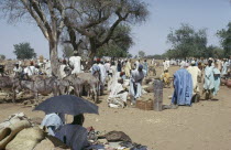 Busy market scene.