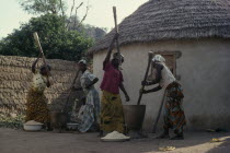 Women pounding grains or pulses outside thatched  mud hut.