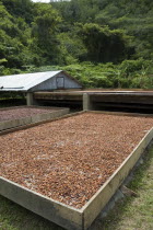Cacao drying facility with moveable roof in background.
