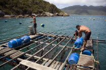 Fisherman on stationary floating platform check on oyster cultivations  Arraial do Cabo near to Praia dos Anjos  Brasil