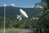 Satelite earth station.  Satelite dish above palm trees.