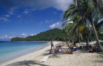 Occupied sandy beach with overhanging palm trees