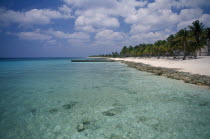 Narrow stretch of empty sandy beach fringed with palm trees beside clear  sparkling water.