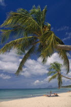 Sandy beach with overhanging Palm trees with people on the sand and in the sea